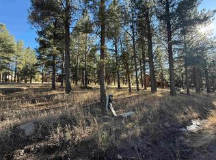 LOT 1113 Oakwood Ln, Angel Fire, NM 87710