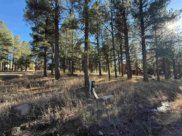 Lot 1113 Oakwood Ln, Angel Fire, NM 87710