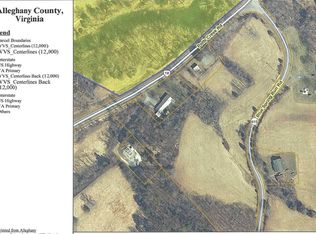 Blue Spring Run Rd, Covington, VA 24426