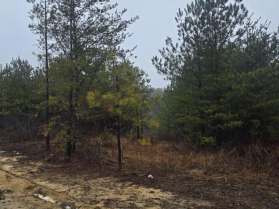2nd image of LOT 12 Stirrup Ln