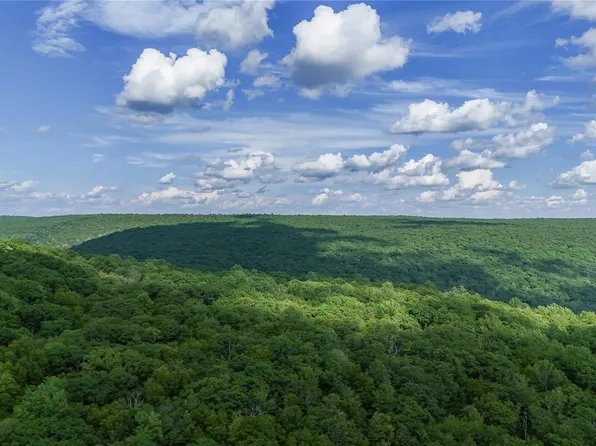 X Wilderness Trail, Forestburgh, NY 12777