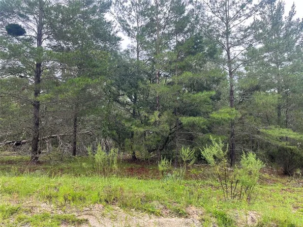 210 Wales St #103, Interlachen, FL 32148
