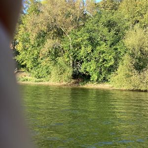 Engstrom Way NW, Alexandria, MN, 56308