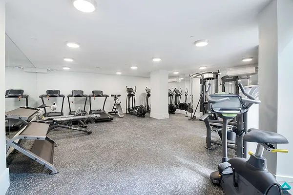 Rented by EXR | media 62