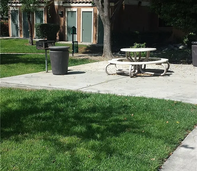 10655 Lemon Ave #1204 — Photo 36