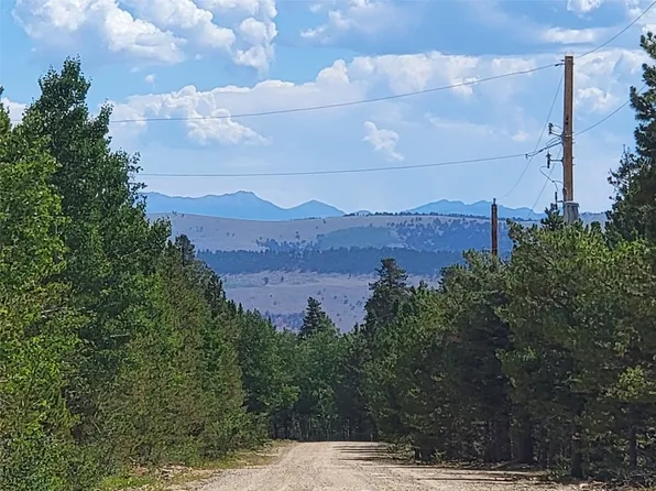 544 Circle 73 Drive, Fairplay, CO 80440