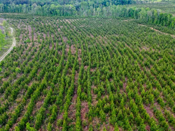 2514 E Highway 57, Stillmore, GA 30464