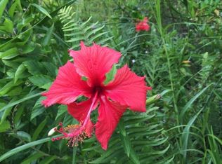Lai St LOT 773, Pahoa, HI 96778