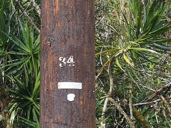 3rd image of 39th Ave Lot 20