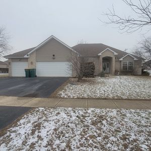 21526 Trick Circle Ct, Wilmington, IL, 60481