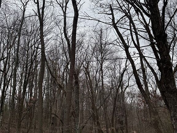 2nd image of State Route 555 NE