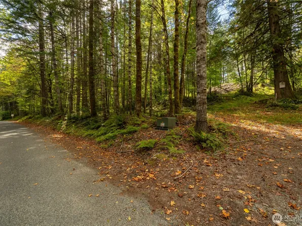 350 Craig Rd, Packwood, WA 98361