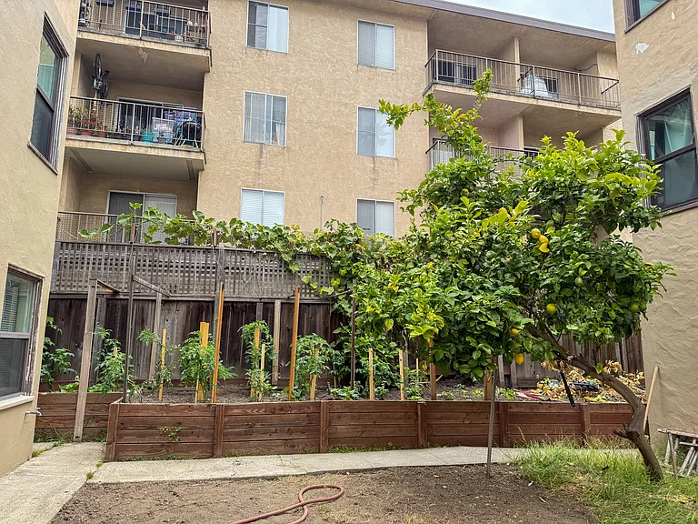 1921 Bonita Ave #4 — Photo 10