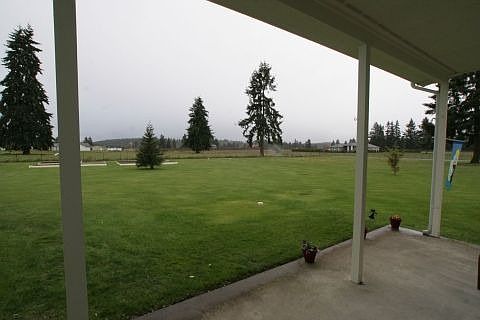 View of back yard