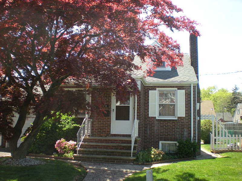 2nd image of 431 Miltonia St