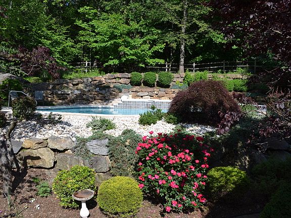 Paradise in your Yard!