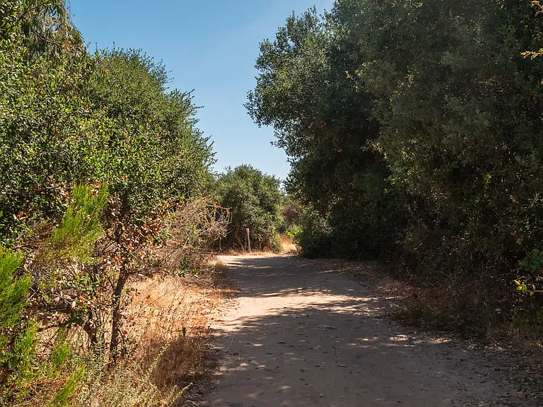 A Peaceful Hike along Tecolote Canyon Trail