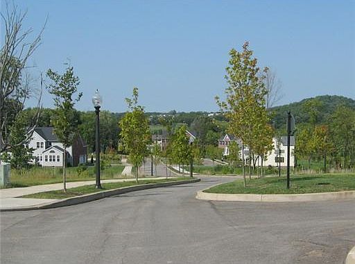 5th image of 521 Paddington Ln