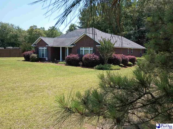 1122 Oak Grove Church Rd, Manning, SC 29102