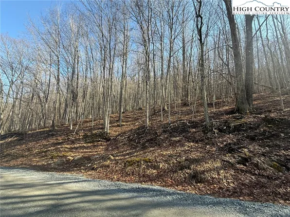 134 Locust Ridge Road, Beech Mountain, NC 28604