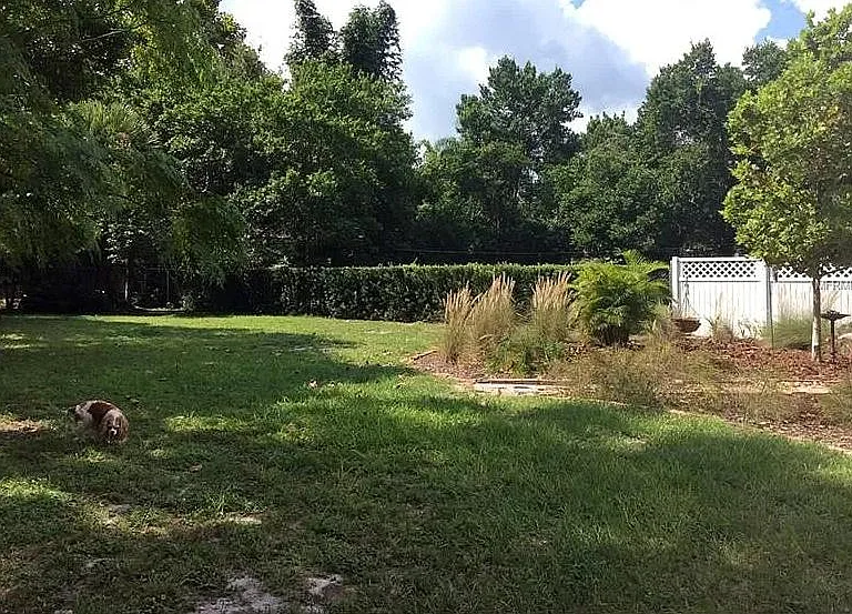 Large back yard. Lot is 65 wide by 165 deep.