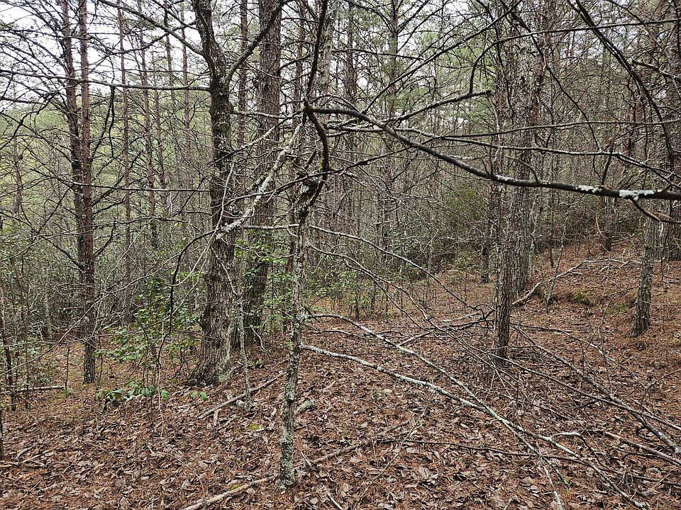2nd image of 29 Belaire Dr