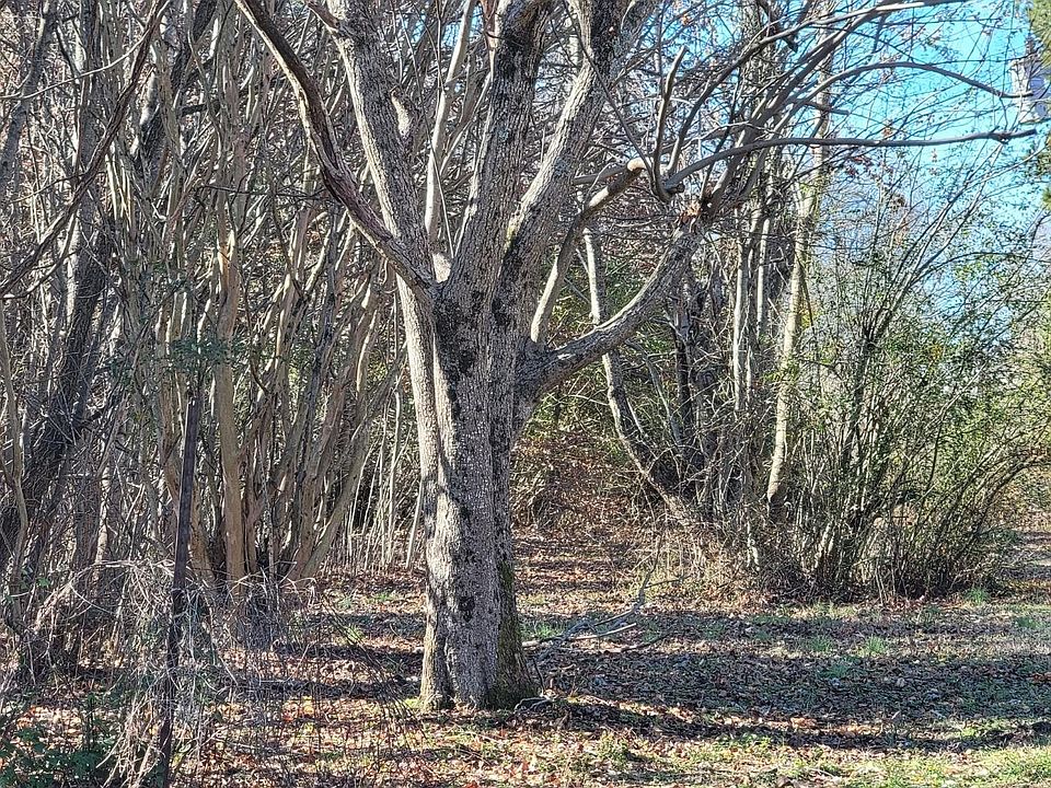 2nd image of 9893 Brunswick Rd