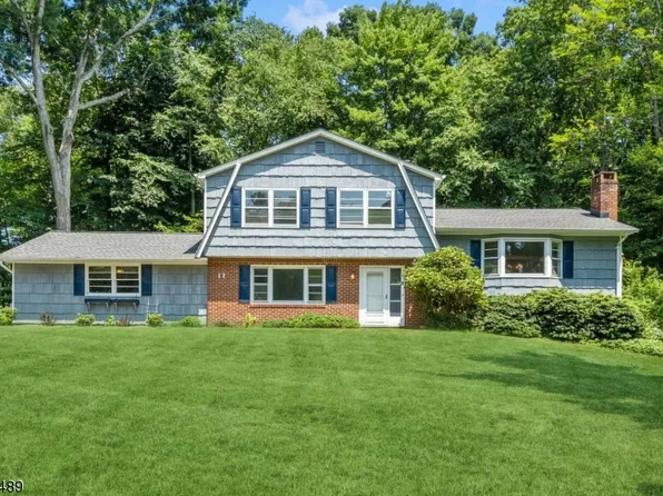 11 Cathy Pl, Roxbury Twp., NJ 07876