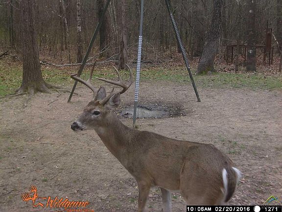4th image of 1275 County Road 1410 #5043