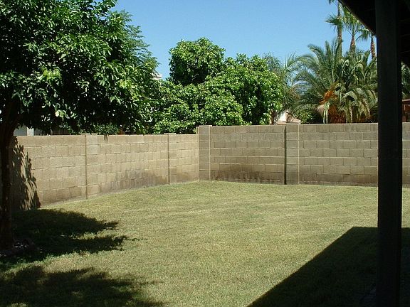MORE BACKYARD