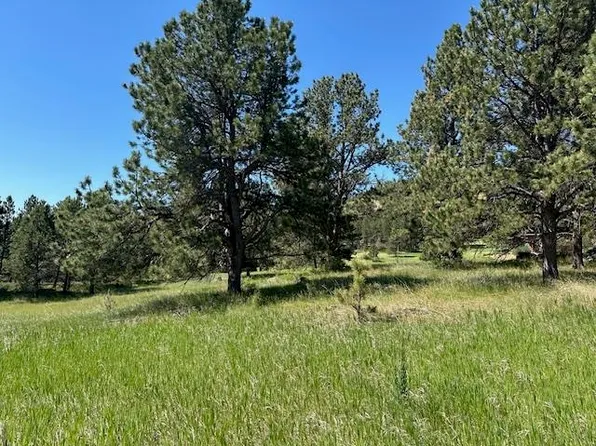 Opal Ct, Newcastle, WY 82701
