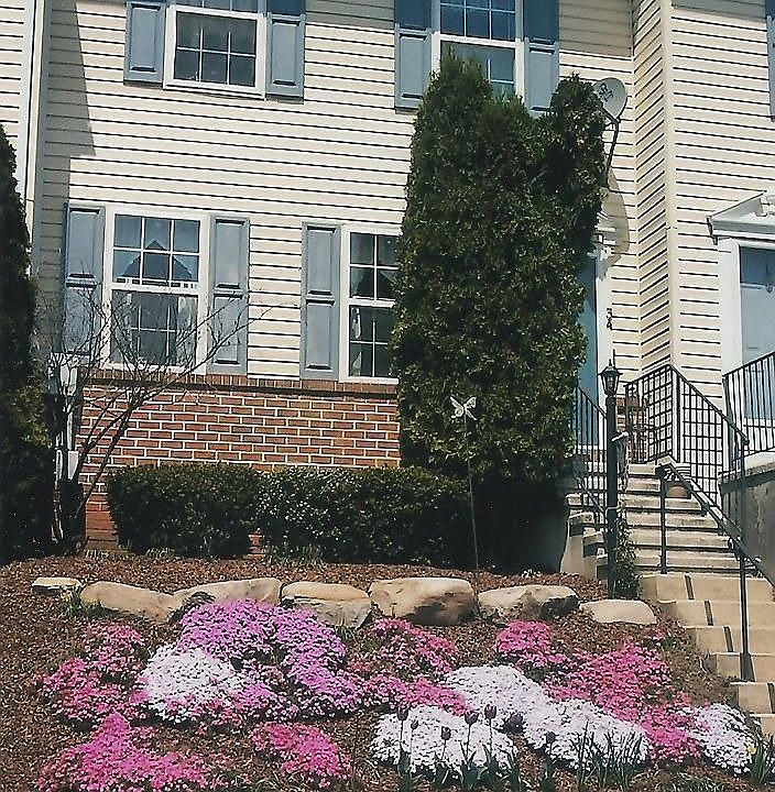 Front landscaping