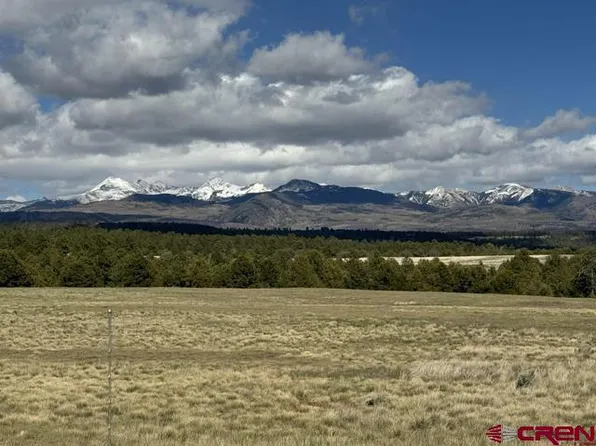 TBD Road 39.2, Mancos, CO 81328