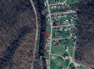 14368 Coal River Rd, Seth, WV 25181