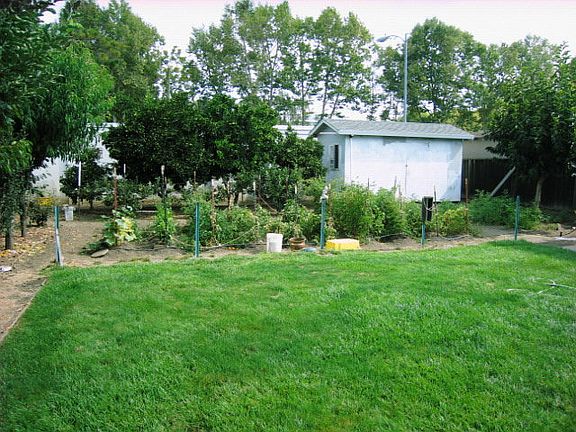 3rd image of 2323 Fruitdale Ave