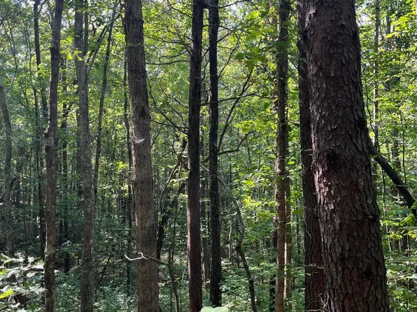 552 New Providence Rd, Tellico Plains, TN 37385