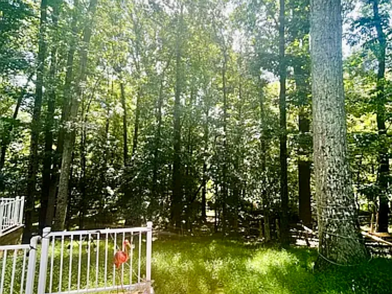 24137 Preakness Dr — Photo 19