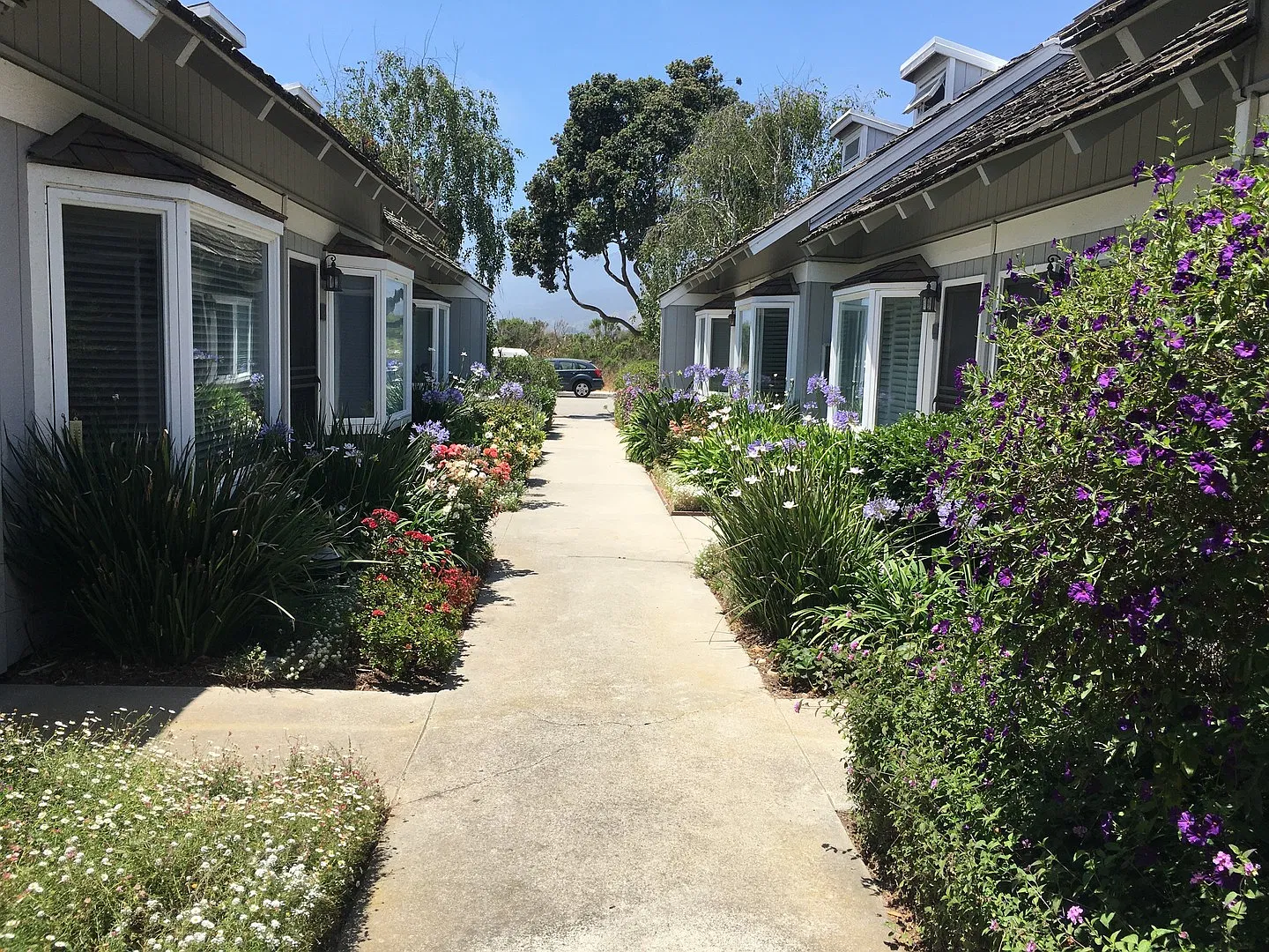 Cozy Studio by the Beach in Sandpiper III Complex! — Photo 1