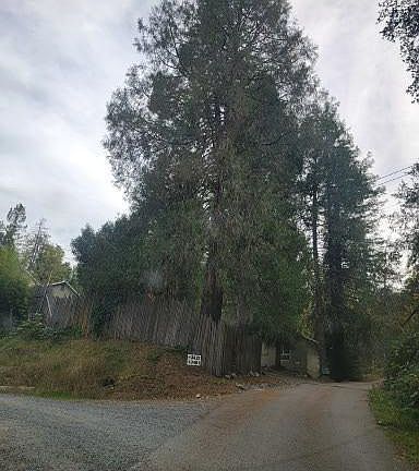 Entrance from driveway