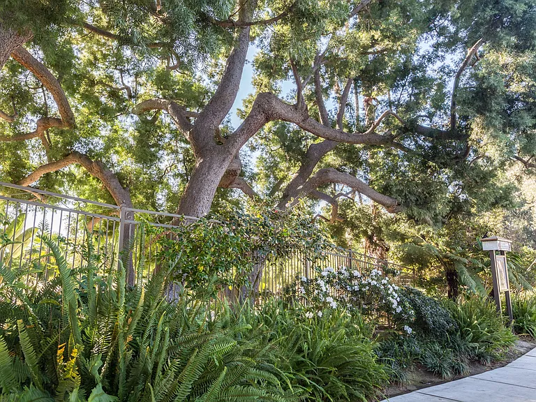 Orange Grove Circle — Photo 4