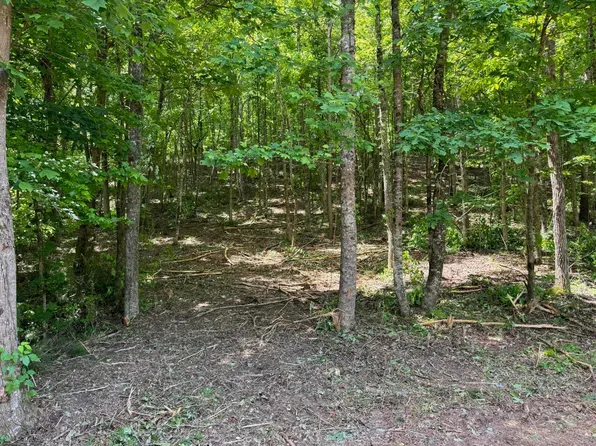 0 Parker Loop Rd, Birchwood, TN 37308