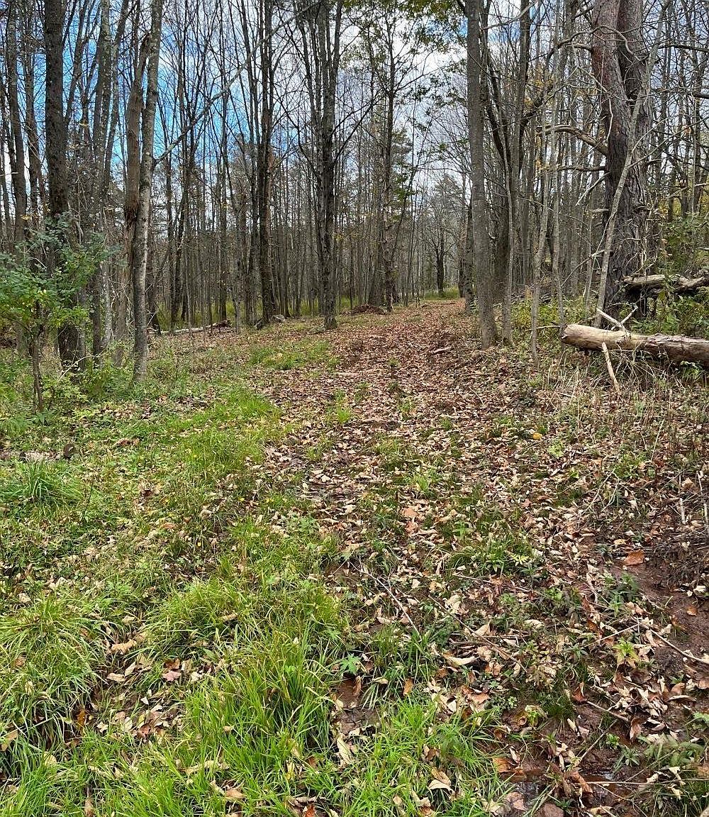 557 Merwin Street, Jewett, NY 12444 MLS 20233054 Zillow