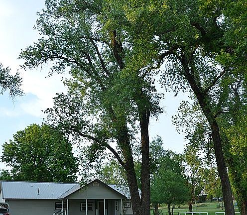 2nd image of 401 Cottonwood Ln