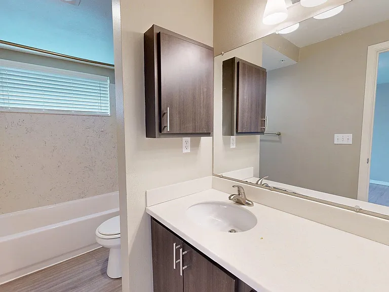 Apartment bathroom with wood-style flooring.