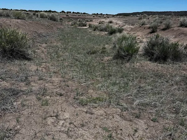 37 Airport Fld, Quemado, NM 87829
