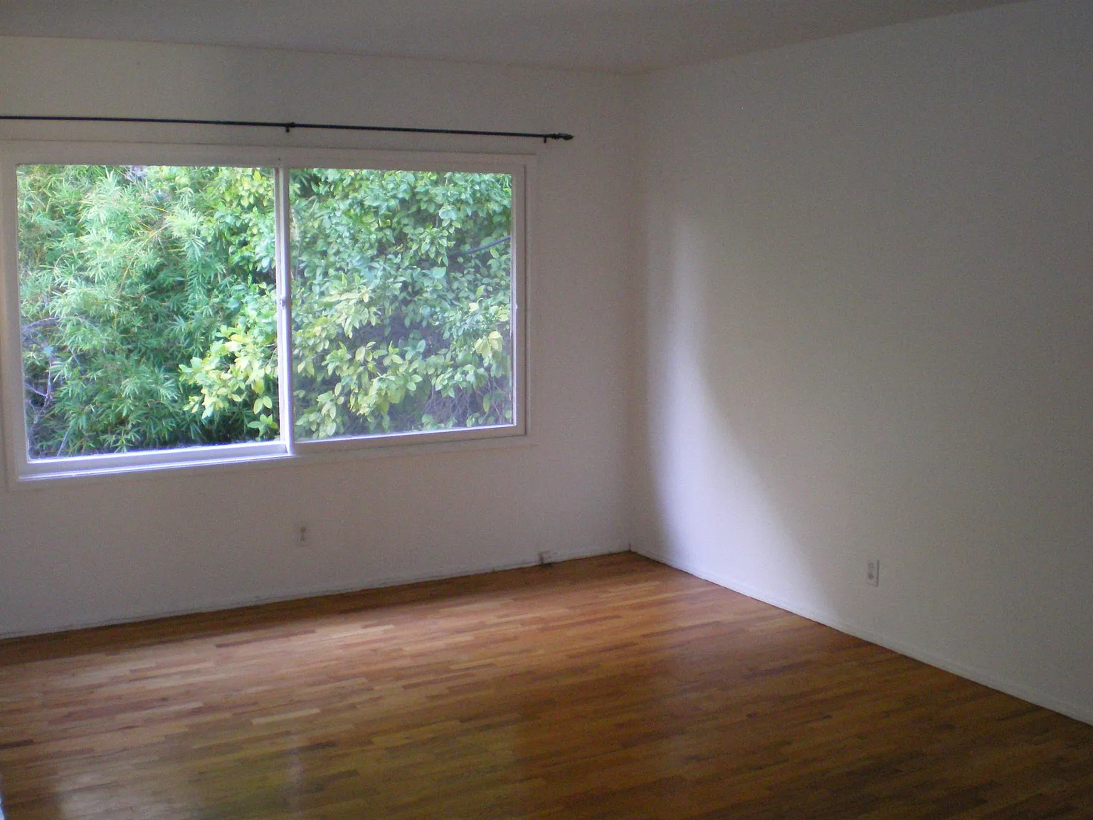 2 bed, 800 sqft, $2,400 — Photo 2