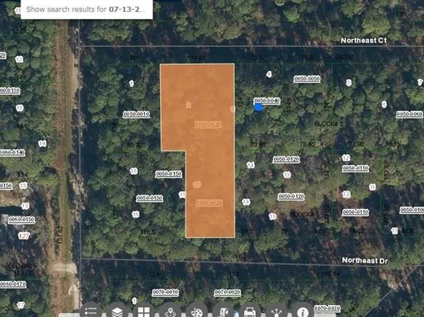 103 Ne Ct Lot 2, Georgetown, FL 32139