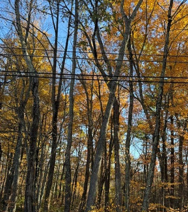 1st image of 0 Hall Farm Road