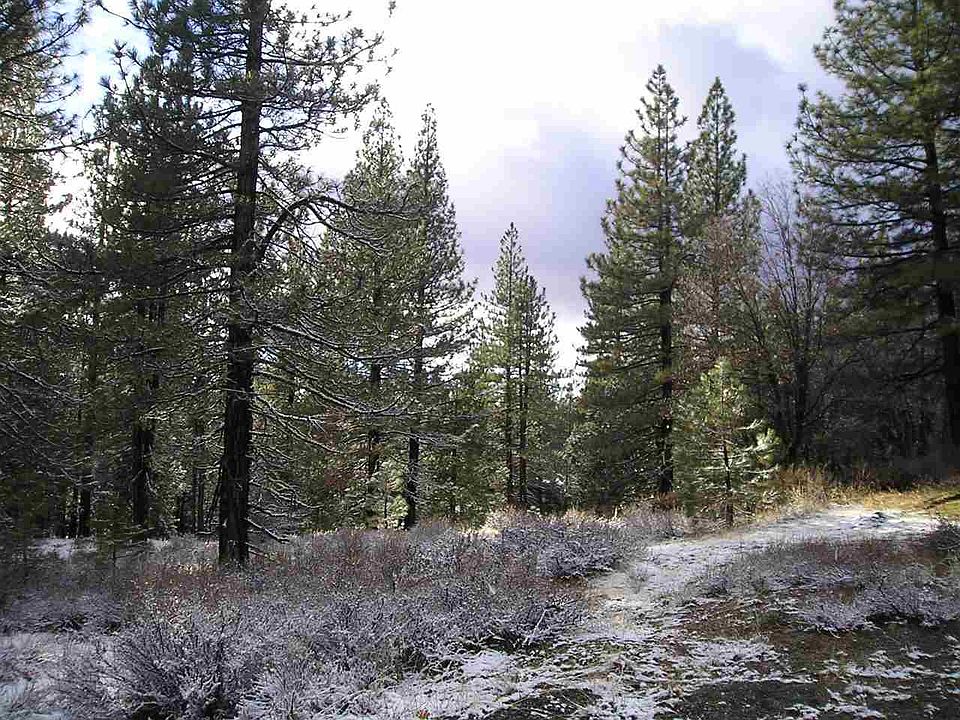 1st image of 915 Sierra Plum Cir