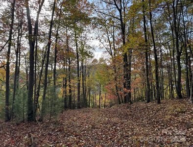 692 Blue Mist Way #205R, Arden, NC, 28704